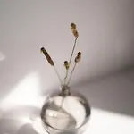Zen Minimal Luxury Housing 度假居