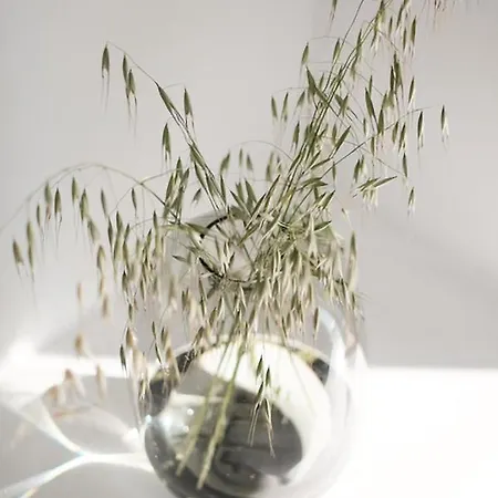 בית נופש Zen Minimal Luxury Housing Tirós