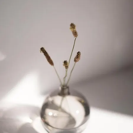 Zen Minimal Luxury Housing Σπίτι διακοπών