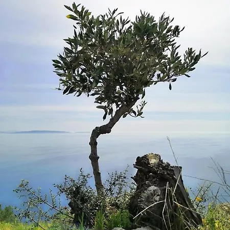 Σπίτι διακοπών Zen Minimal Luxury Housing *