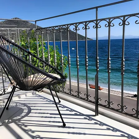 Zen Minimal Luxury Housing *