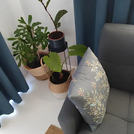 בית נופש Zen Minimal Luxury Housing *