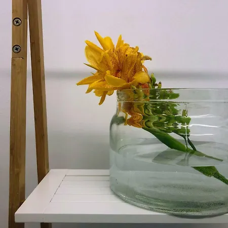 Σπίτι διακοπών Zen Minimal Luxury Housing