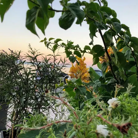 Σπίτι διακοπών Zen Minimal Luxury Housing *