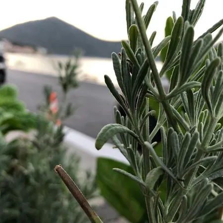 Zen Minimal Luxury Housing Τυρός