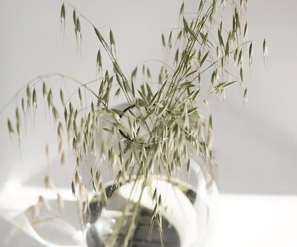 Casa de Férias Zen Minimal Luxury Housing Tirós