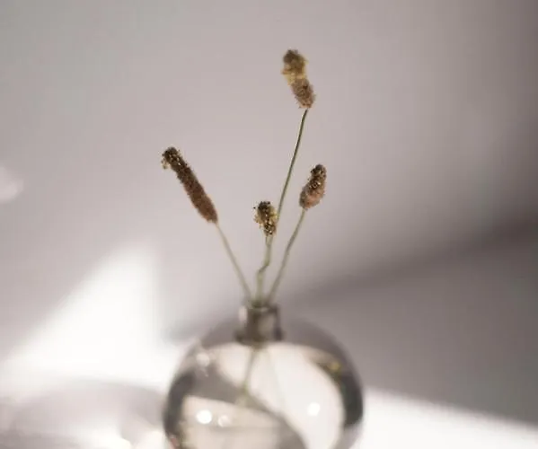 Zen Minimal Luxury Housing Casa de Férias