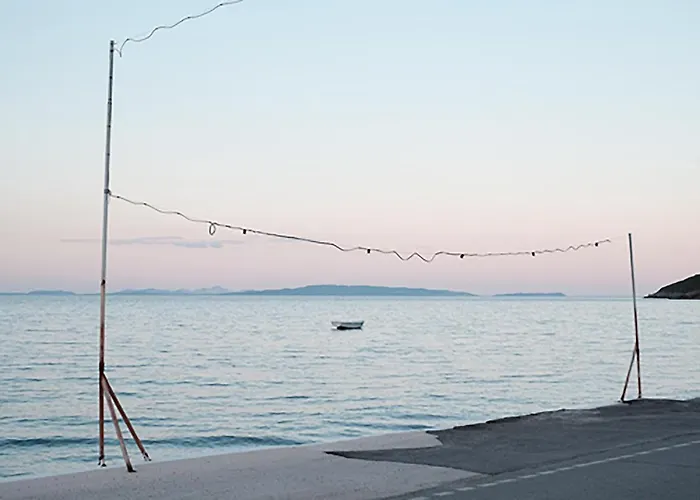 Zen Minimal Luxury Housing *