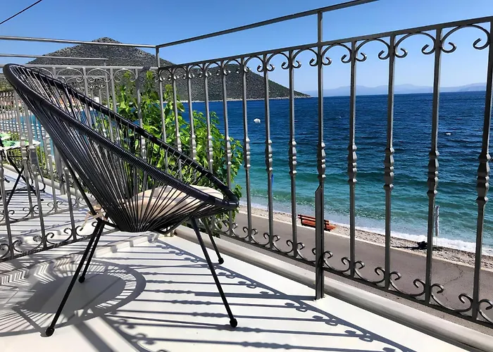 Zen Minimal Luxury Housing *