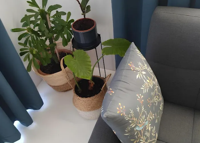 Casa de Férias Zen Minimal Luxury Housing *