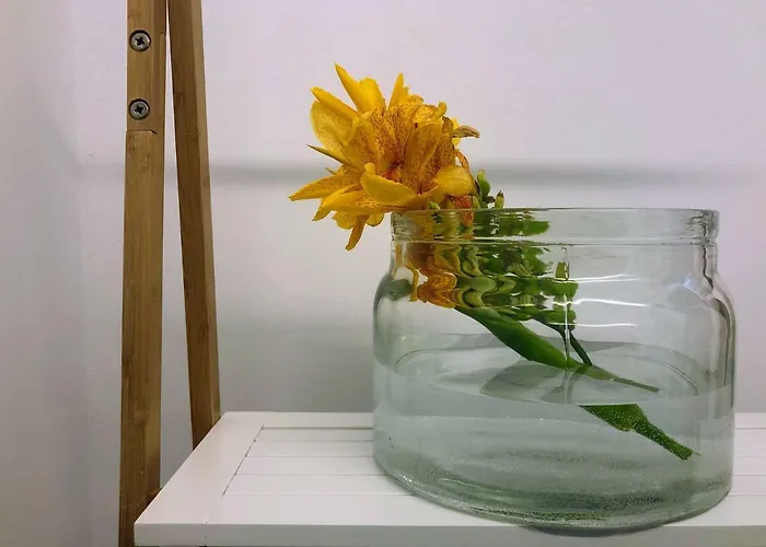 Casa de Férias Zen Minimal Luxury Housing