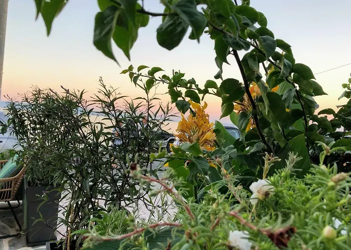 Casa de Férias Zen Minimal Luxury Housing *