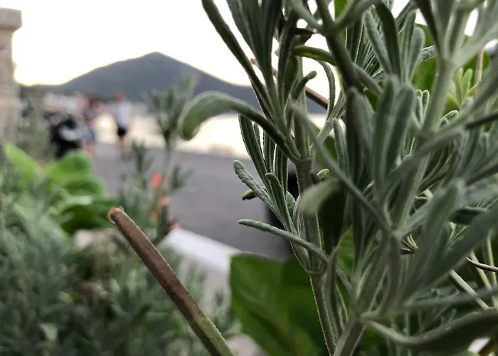 Zen Minimal Luxury Housing Tirós