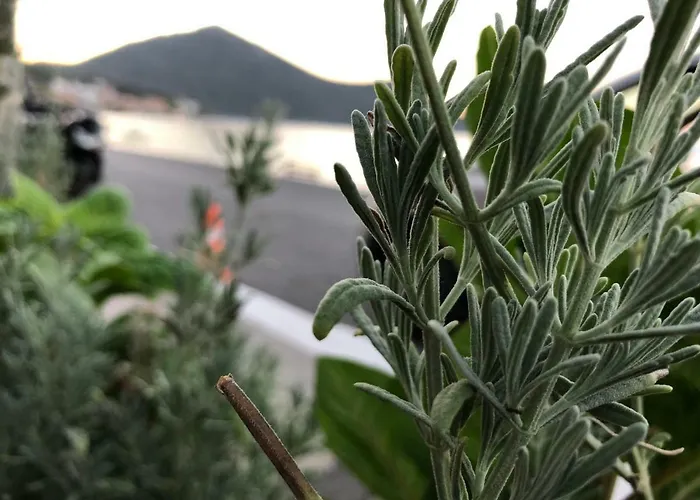 Zen Minimal Luxury Housing Tirós