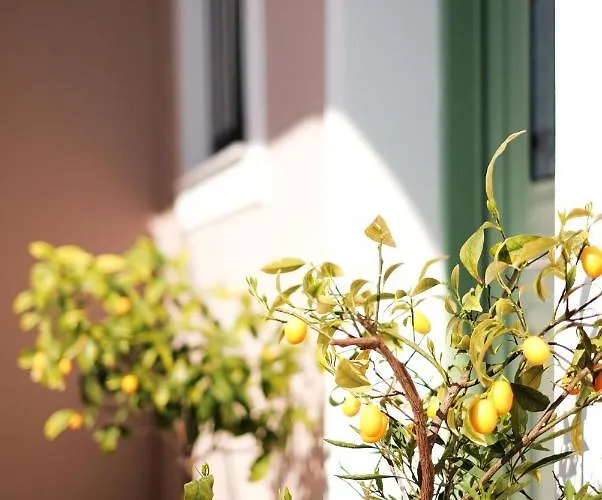 Zen Minimal Luxury Housing Casa de Férias